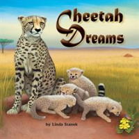 Cheetah_Dreams